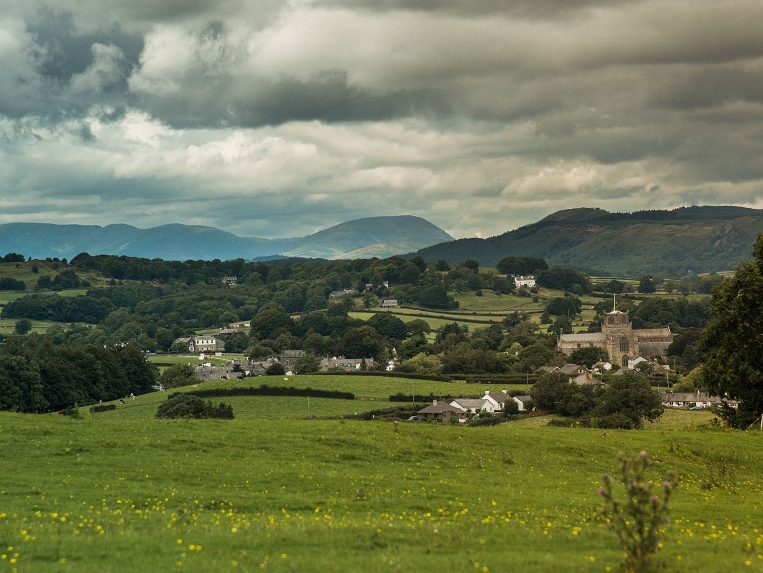 Cartmel Camping Pod Grange-over-Sands Buitenkant foto